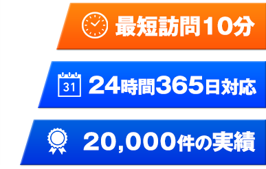 スズメバチ、アシナガバチ、ミツバチ、クマバチほか